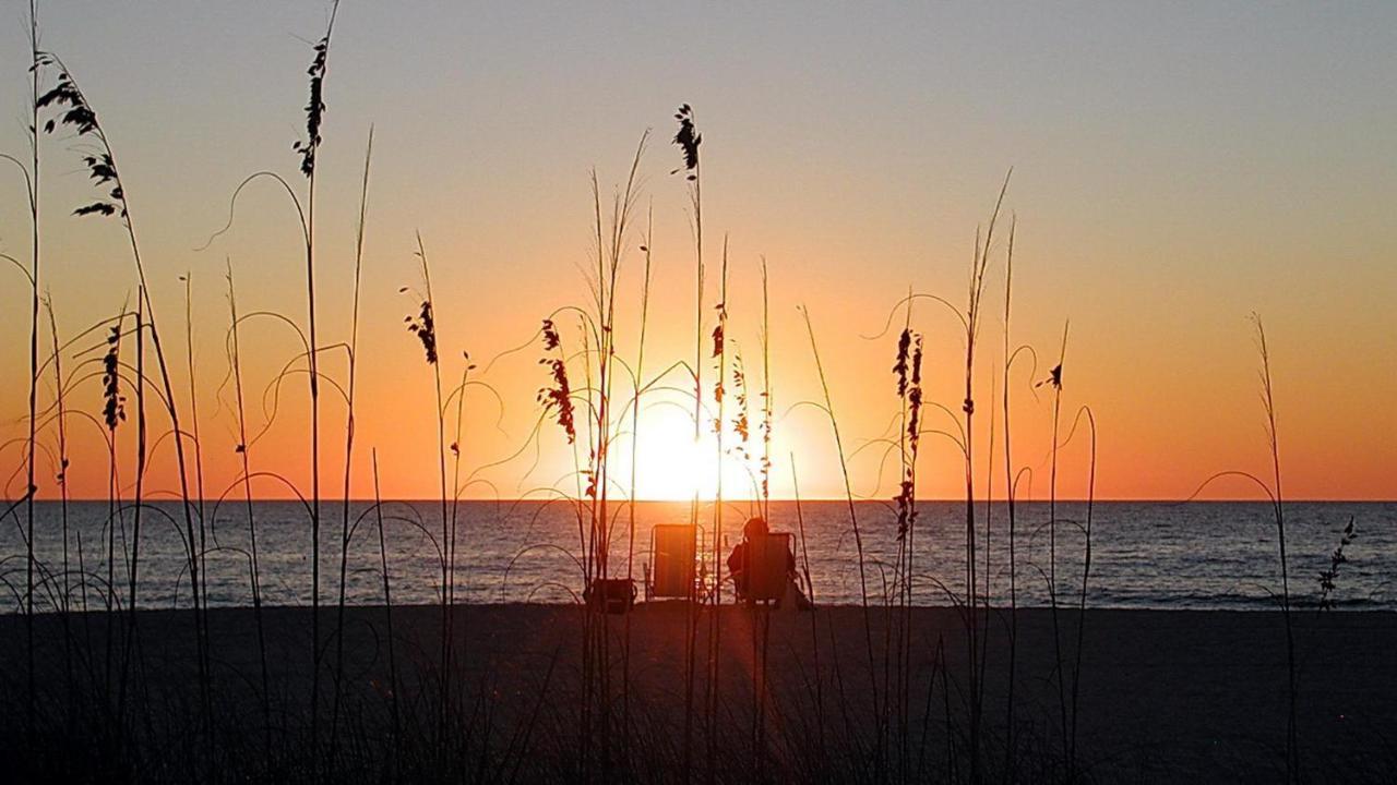 C7-Dolphin Villa St. Pete Beach Eksteriør bilde