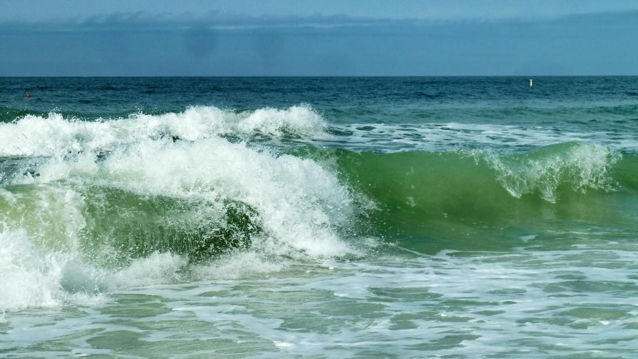 C7-Dolphin Villa St. Pete Beach Eksteriør bilde